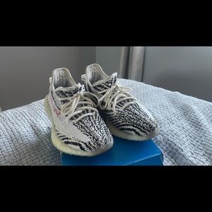 Yeezy boost 350 v2